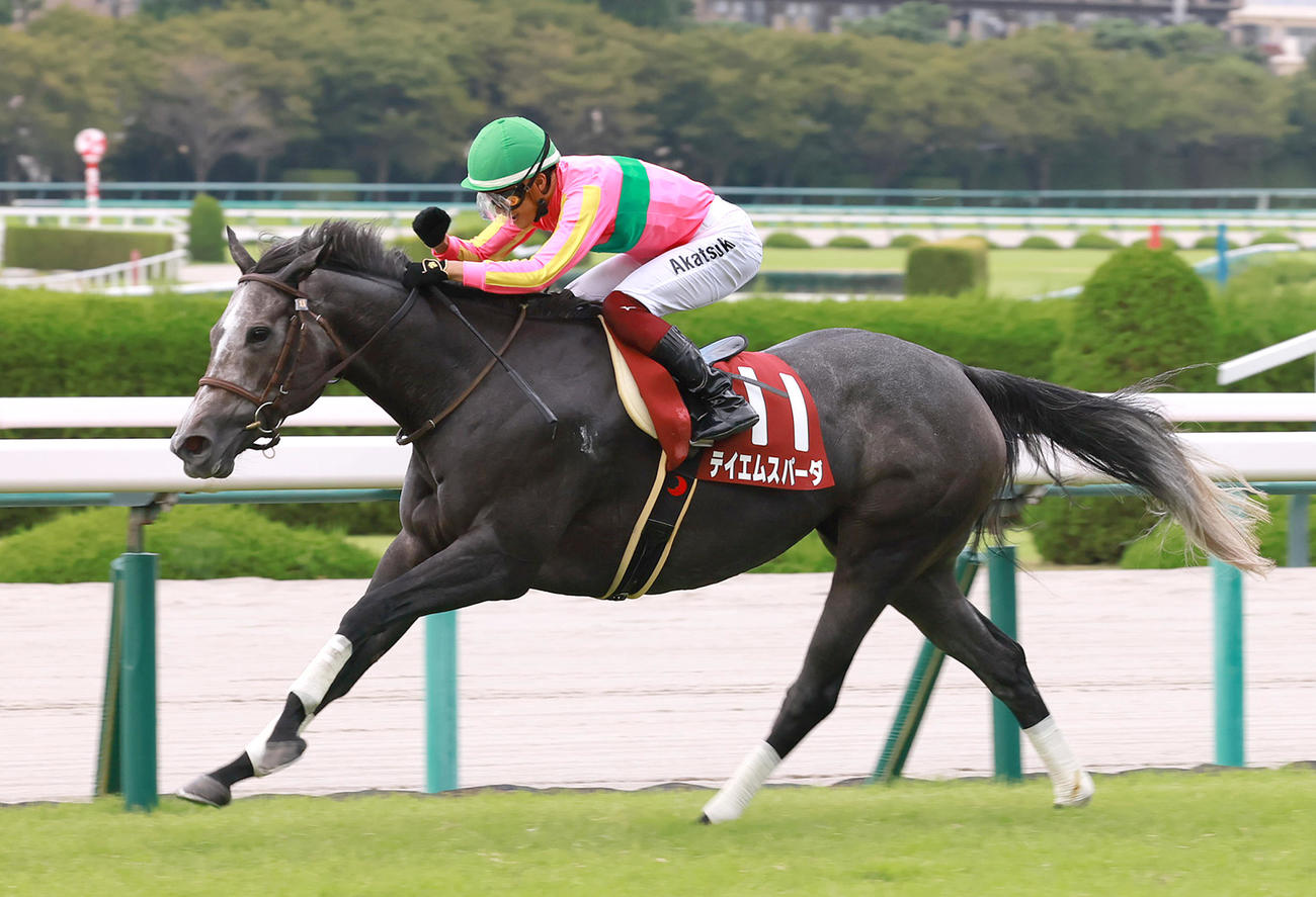セントウルSをテイエムスパーダで制して重賞初制覇の富田騎手はガッツポーズ（2023年9月10日撮影）