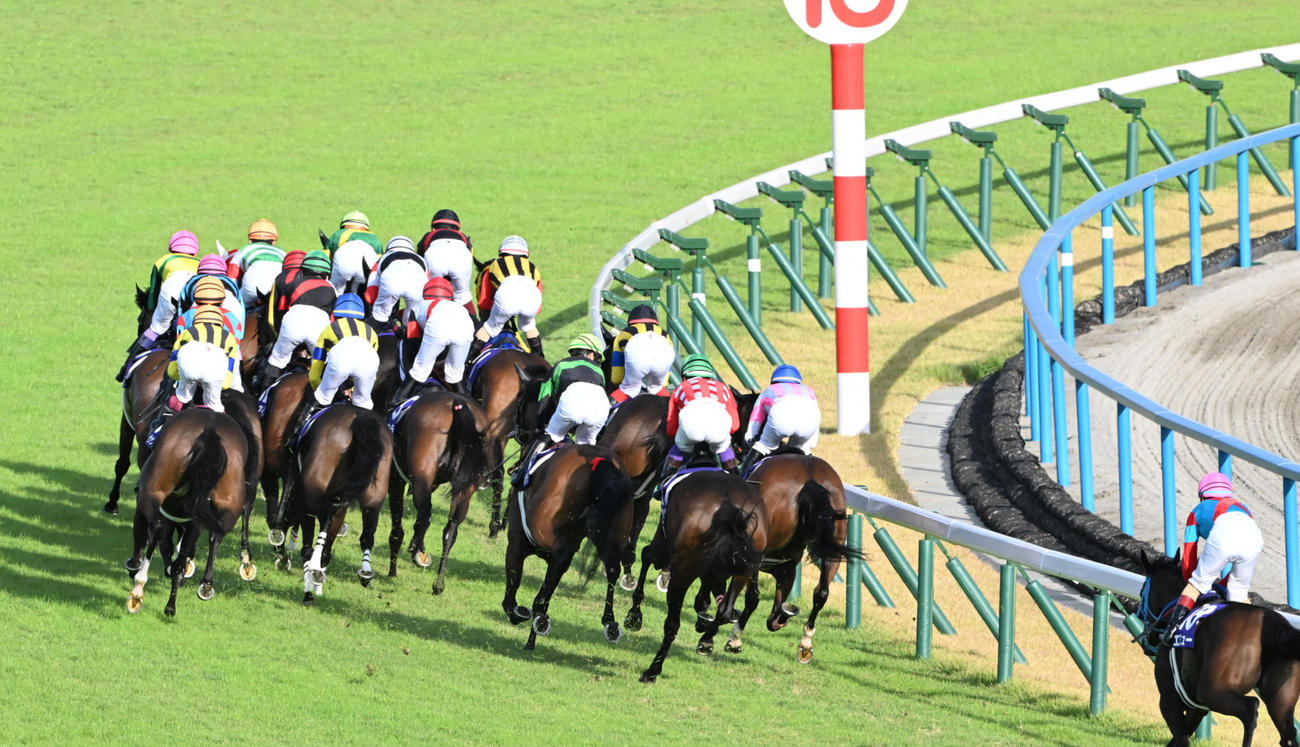 秋華賞第1コーナーに向かう馬群（撮影・和賀正仁）