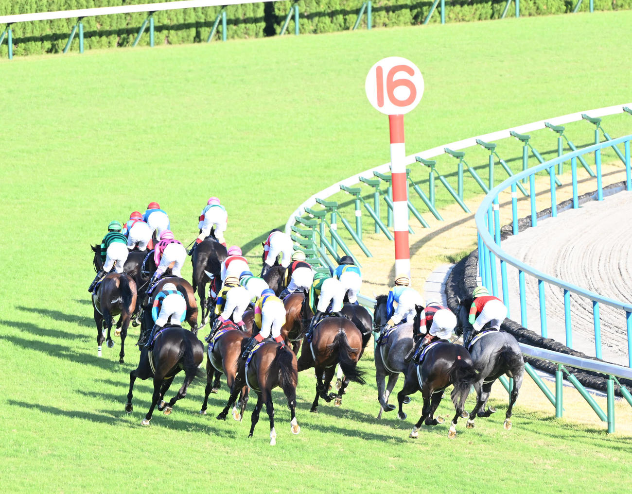 2周目1コーナー、先頭で通過するドゥレッツァ（撮影・和賀正仁）