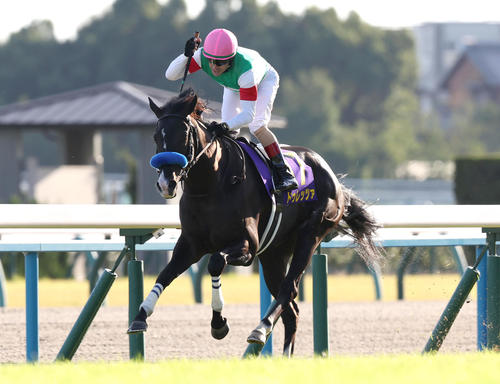 直線抜け出して菊花賞を制したドゥレッツァ。鞍上のルメール騎手はガッツポーズを見せる（撮影・白石智彦）
