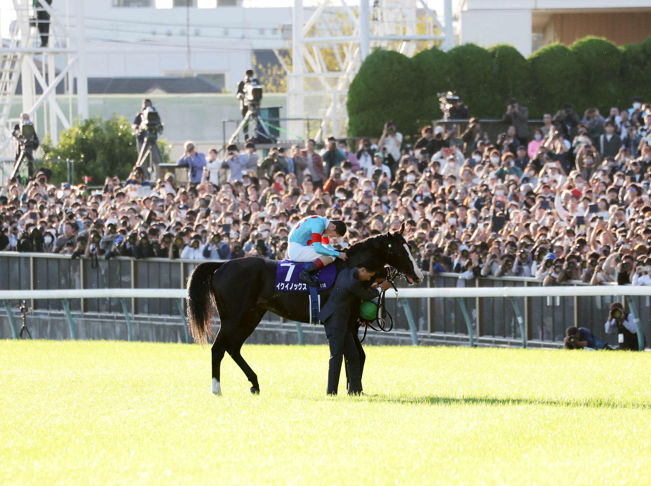 天皇賞・秋を制し馬上礼するC・ルメール騎手とイクイノックス（2023年10月29日撮影）