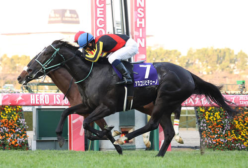 ステレンボッシュ（奥）との競り合いを制し3連勝で阪神JFを制したアスコリピチェーノ（撮影・白石智彦）