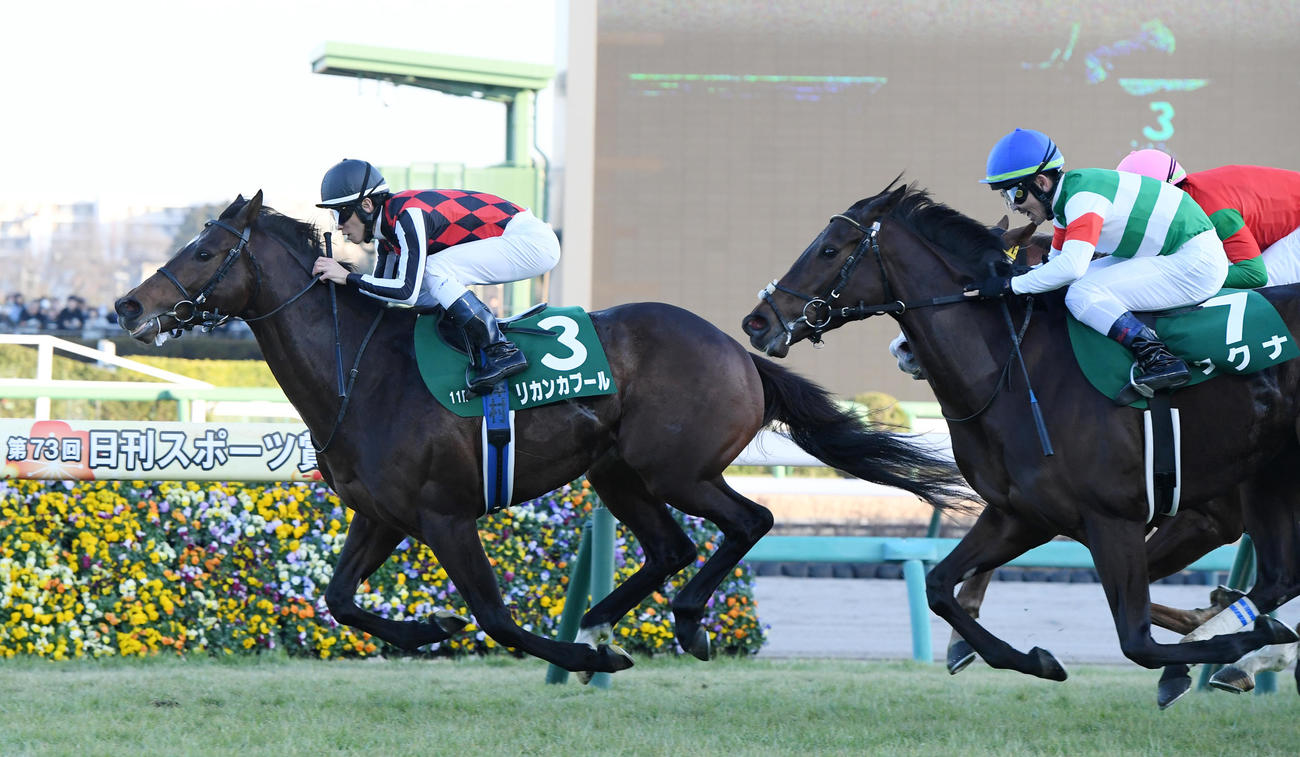 中山金杯を制したリカンカブール、右は2着ククナ（撮影・柴田隆二）
