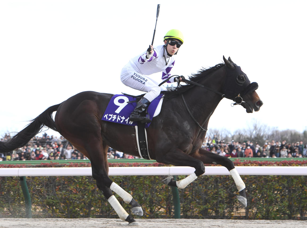 フェブラリーSを制したペプチドナイルの藤岡佑騎手（撮影・柴田隆二）
