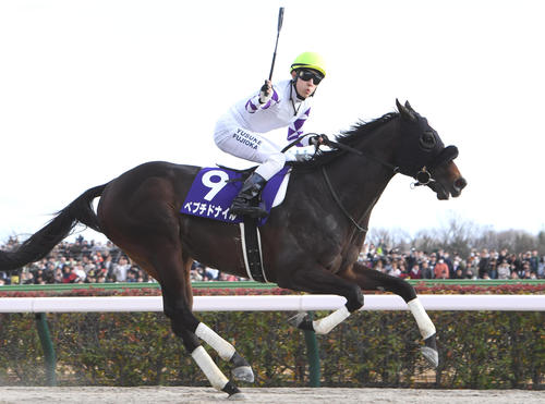 フェブラリーSを制したペプチドナイルの藤岡佑騎手（撮影・柴田隆二）
