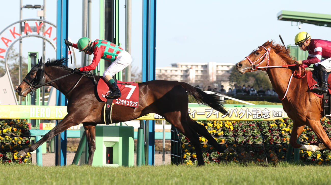弥生賞ディープインパクト記念を制したコスモキュランダ（撮影・柴田隆二）