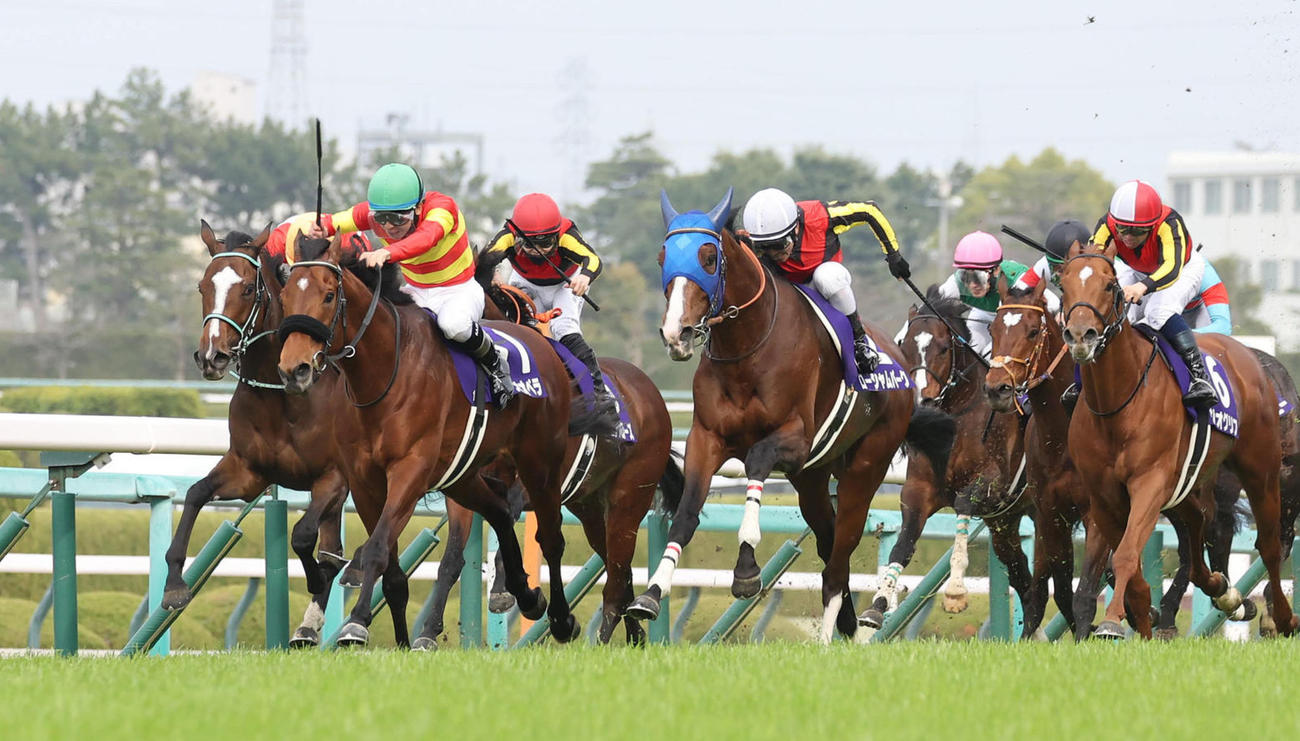大阪杯を勝利したベラジオオペラ（左から2頭目）