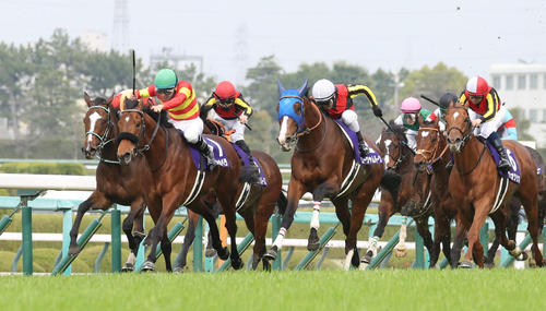 大阪杯を勝利したベラジオオペラ（左から2頭目）