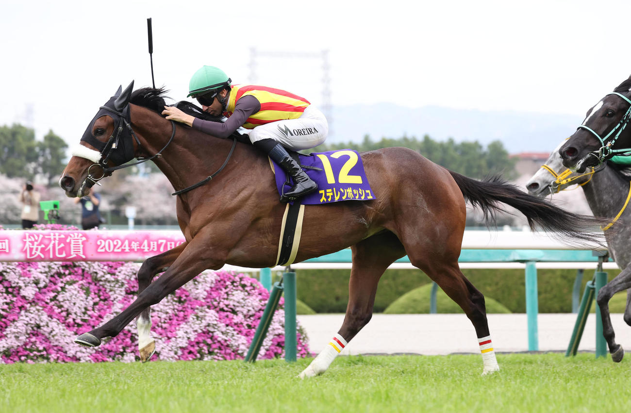 直線抜け出して桜花賞を制したステレンボッシュ（2024年4月7日撮影）
