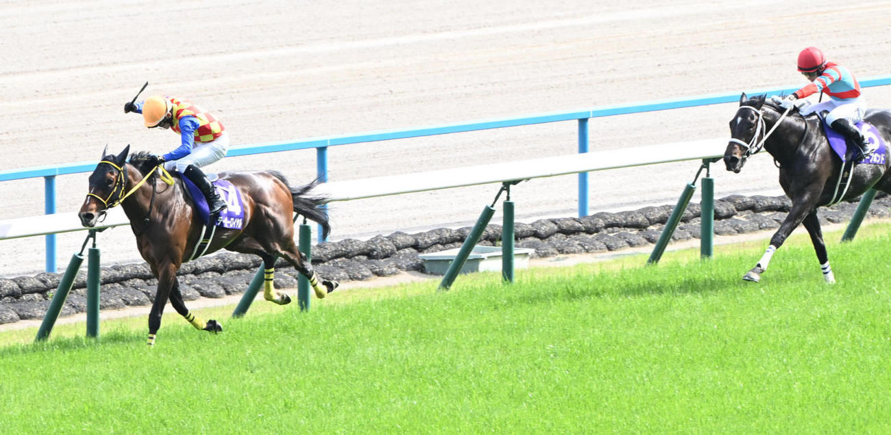 直線抜け出し天皇賞・春を制したテーオーロイヤル（撮影・和賀正仁）