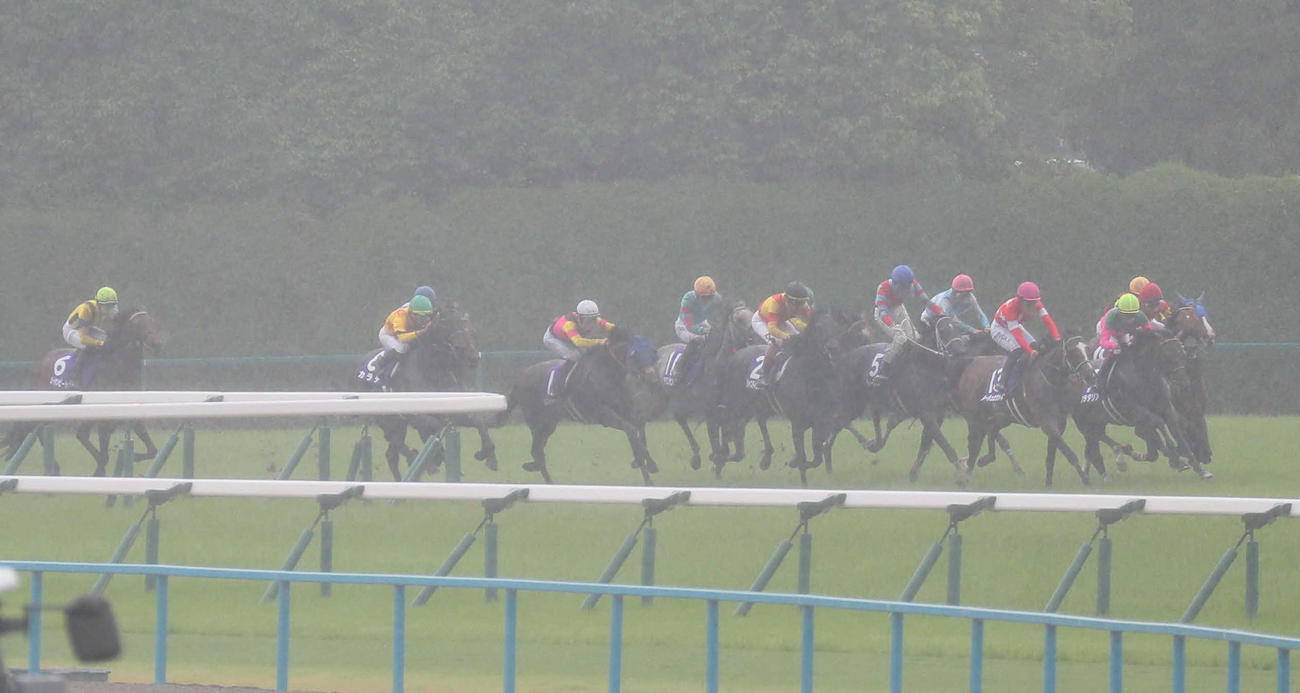 宝塚記念の4コーナーを抜けるブローザホーン（右から5頭目）ら各馬