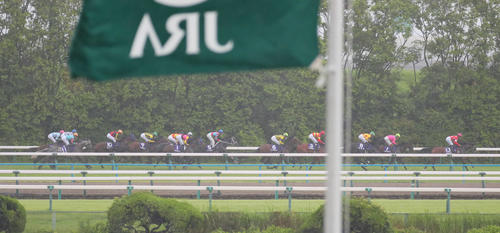 宝塚記念のバックストレートを走るブローザホーン（左最後尾）ら各馬