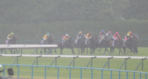 宝塚記念の4コーナーを抜けるブローザホーン（右から5頭目）ら各馬