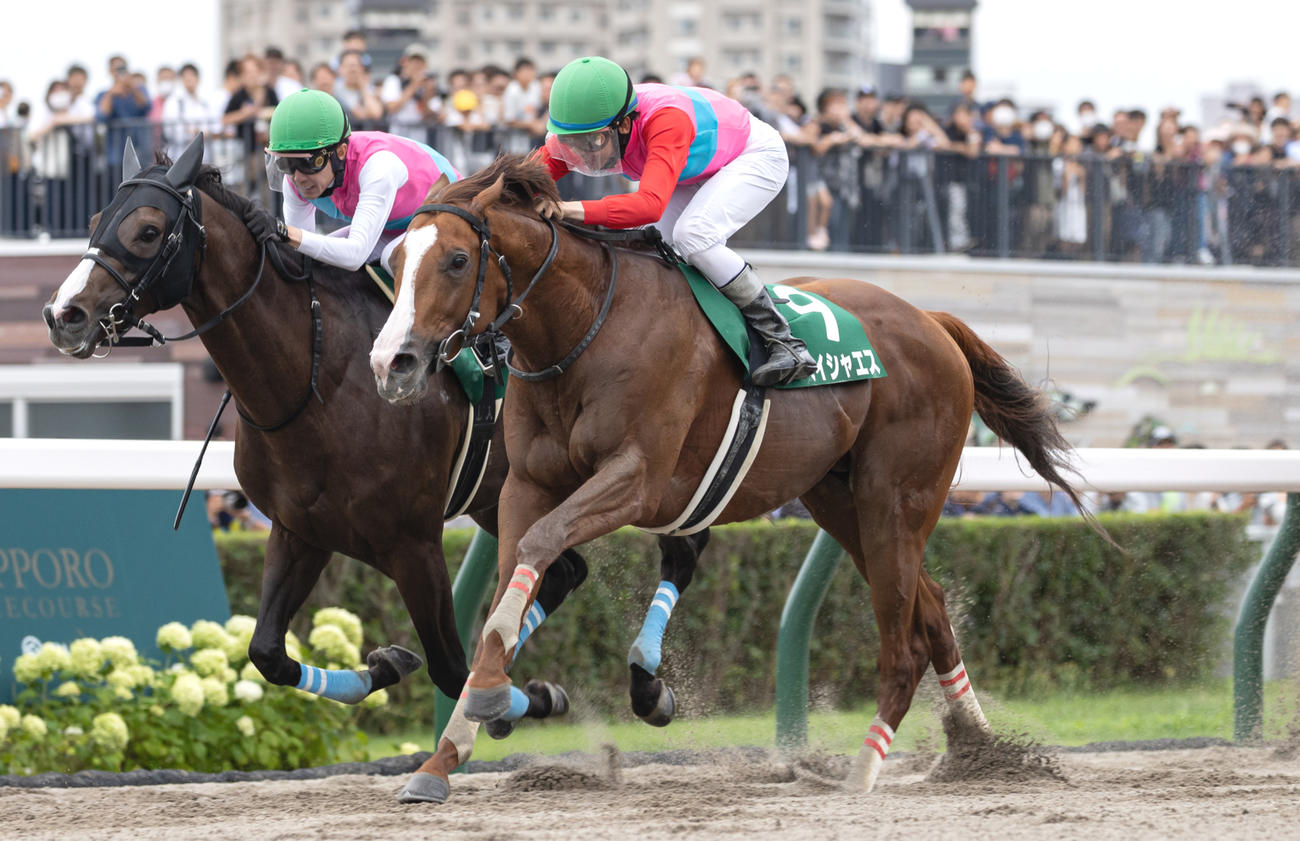 エルムSを制したペイシャエスと横山和騎手（右）