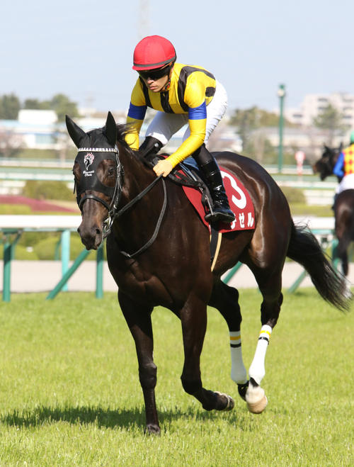 阪神牝馬Sで3着だったデゼル