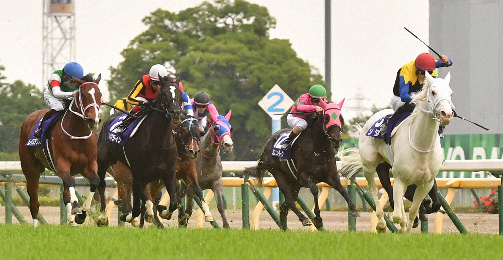ヴィクトリアＭで５着となったソングライン（左から２頭目）、右は勝ったソダシ