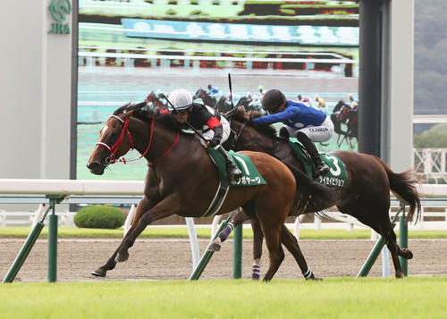 北九州記念で2着のタイセイビジョン（右奥）。左は勝ったボンボヤージ