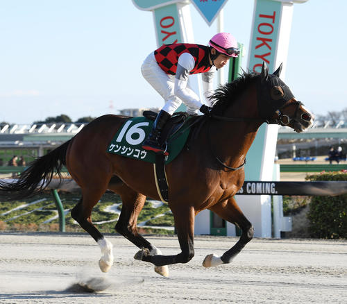 1月29日、根岸Sで本馬場に入場したケンシンコウと田辺騎手