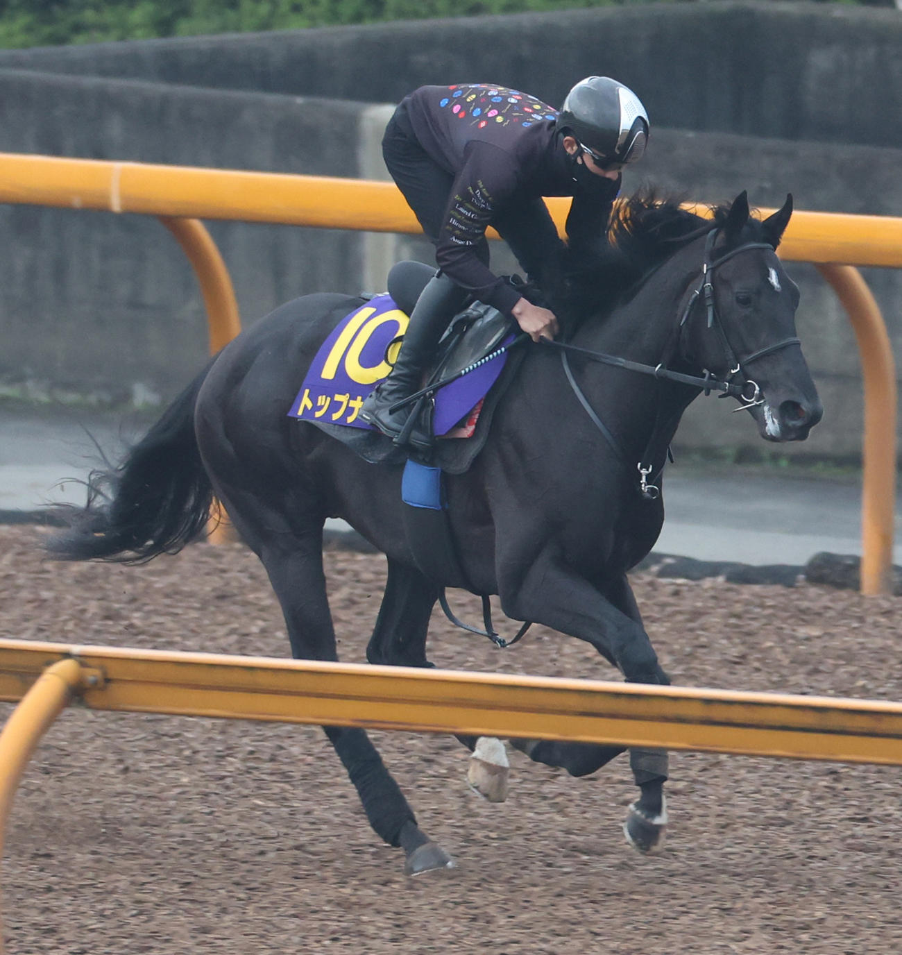 21日、Cウッドコースで調整するトップナイフ