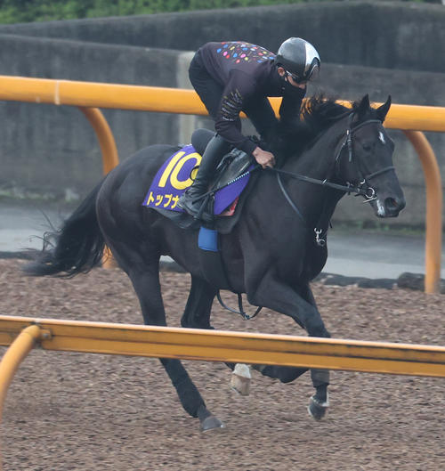 21日、Cウッドコースで調整するトップナイフ