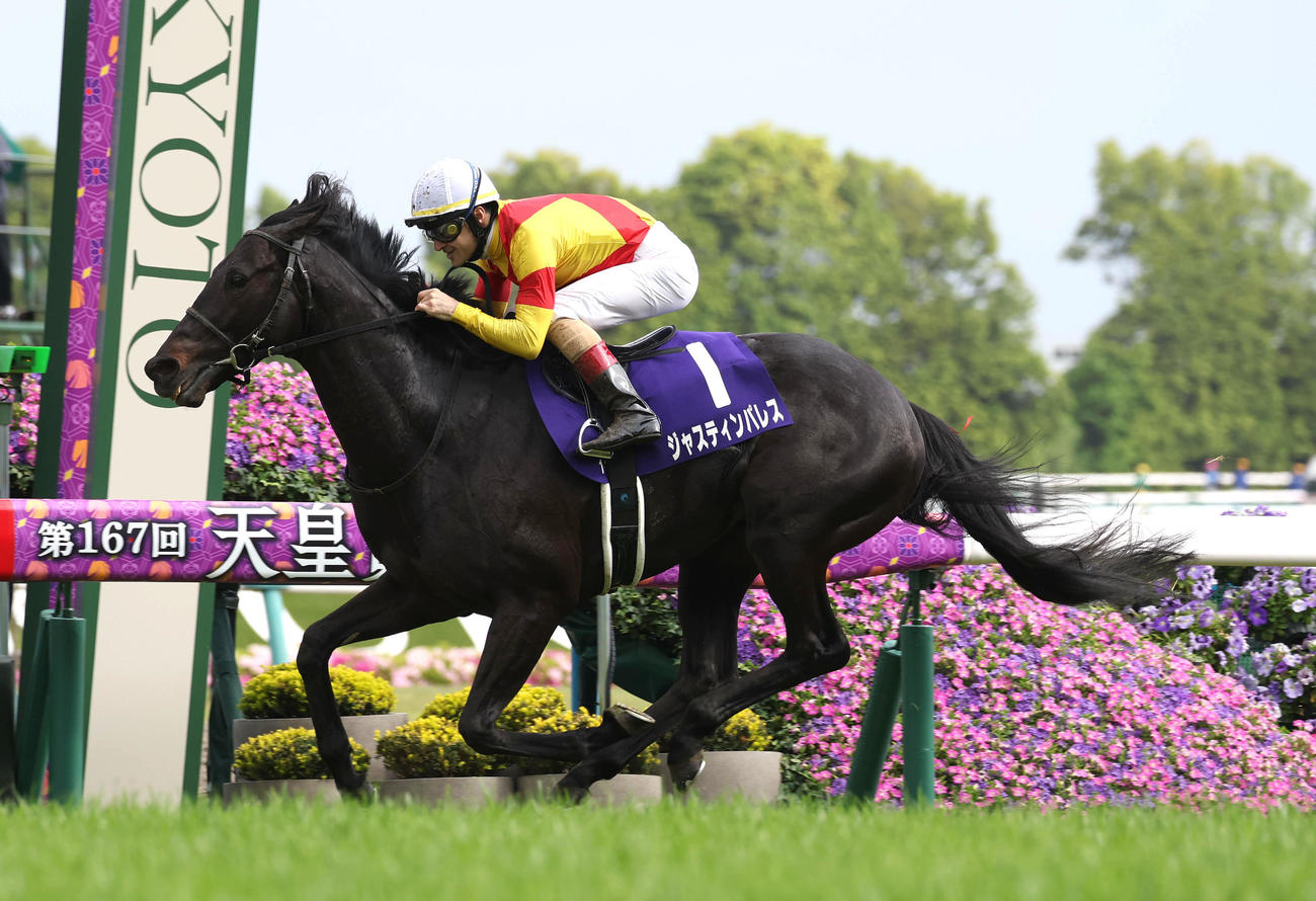 直線抜け出して天皇賞・春を制したジャスティンパレス（2023年4月30日撮影）