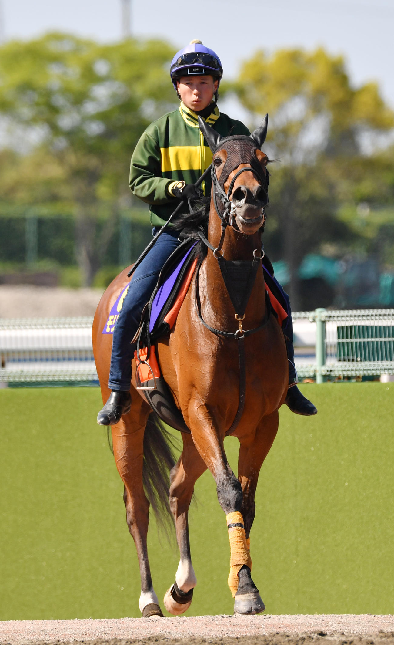 モリアーナ（2023年4月撮影）
