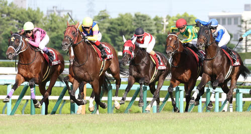 神戸新聞杯でサトノグランツ(右から2頭目)に続き2着に入ったサヴォーナ(左から2頭目)