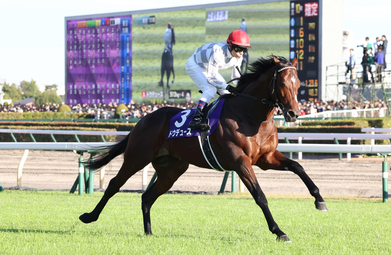 天皇賞・秋に出走したドゥデュースと戸崎騎手