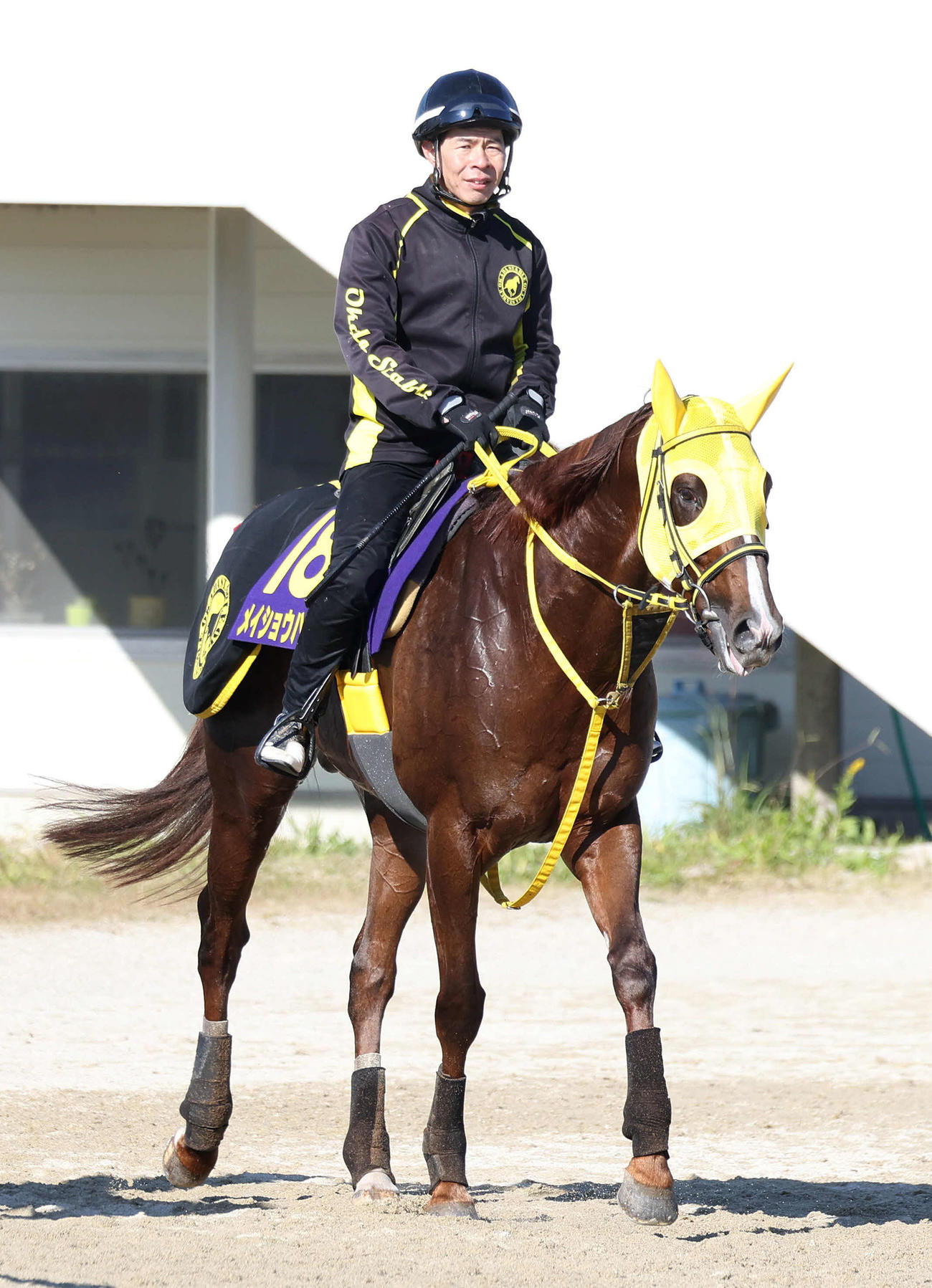 中央G1初制覇を狙うメイショウハリオ