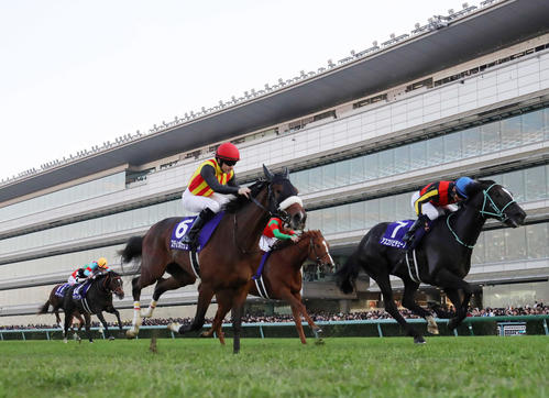 23年12月、阪神JFで2着となったステレンボッシュ(6番)、右は1着アスコリピチェーノ