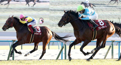 日経新春杯2着のサヴォーナ（左）