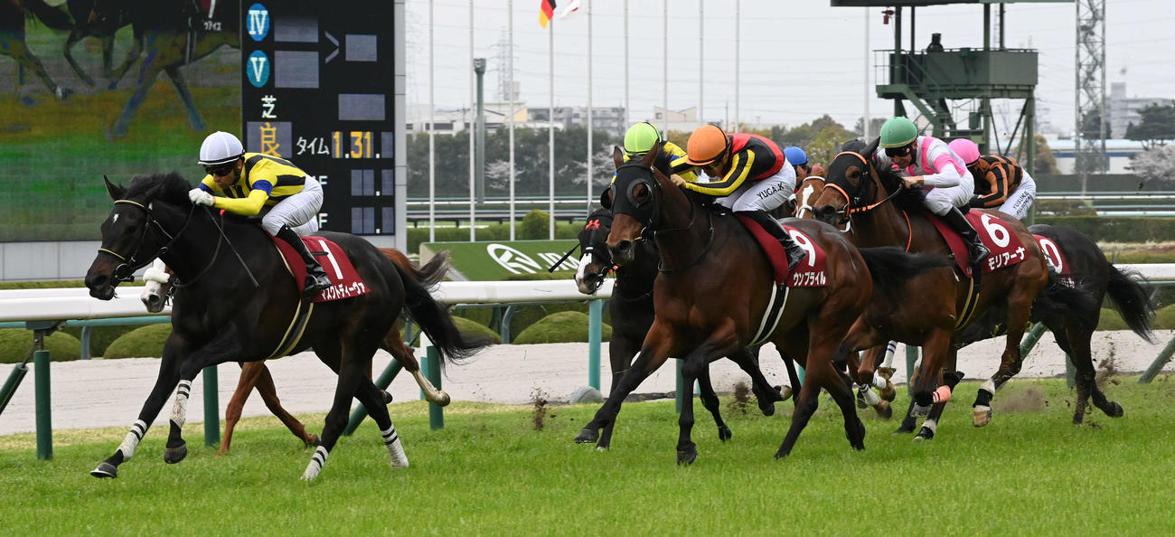 阪神牝馬Sで3着に入ったモリアーナ（右＝6番）。左は勝ったマスクトディーヴァ