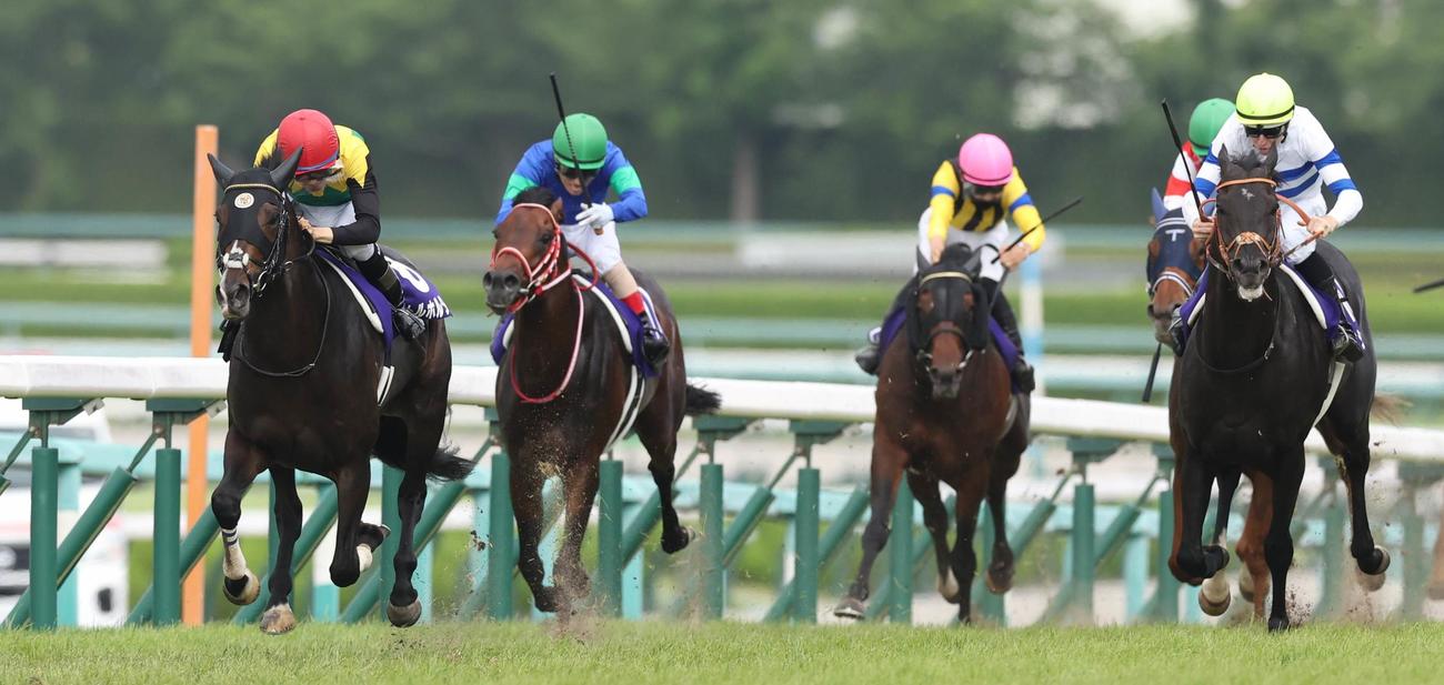 宝塚記念8着のパンサラッサ（左から2頭目）。左は勝ったタイトルホルダー（2022年6月26日撮影）