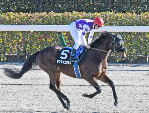 サンライズウルス（2021年撮影）