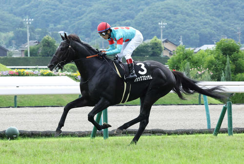福島10R、信夫山特別を制したブラックブロッサムと田辺騎手（2022年7月17日撮影）