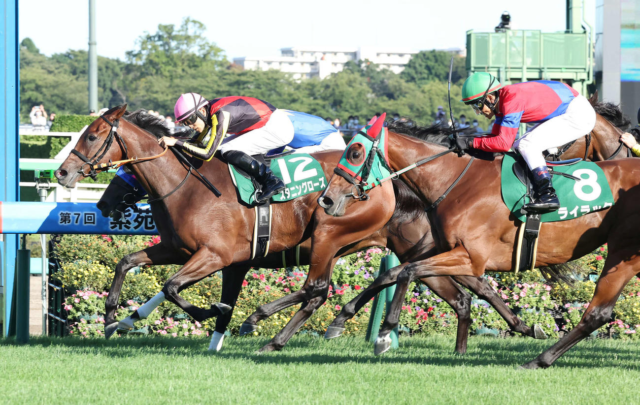 紫苑Sを制したスタニングローズと坂井騎手（左）。右は3着のライラック（2022年9月10日撮影）