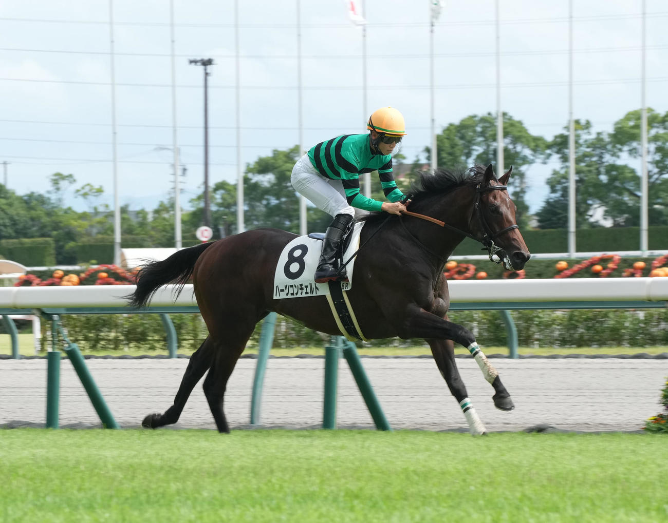 新馬戦を制したハーツコンチェルト（2022年9月18日撮影）