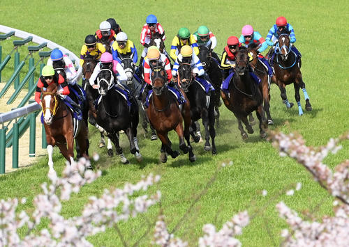 4コーナーを回る大阪杯の出走馬（撮影・前岡正明）