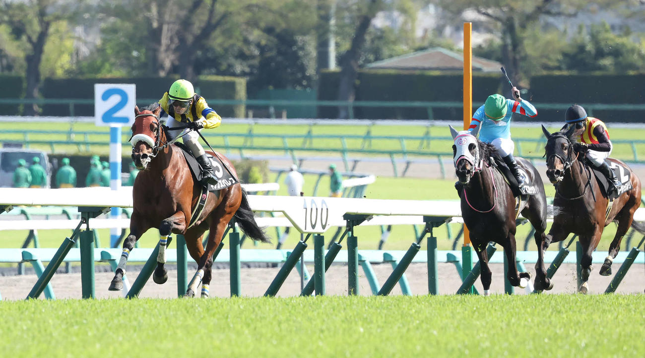 中山10R、鹿野山特別を制したキングズパレスと松岡騎手（左）（撮影・丹羽敏通）