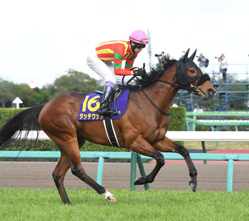 皐月賞、本馬場に入場したタッチウッドと武豊騎手（2023年4月16日撮影）