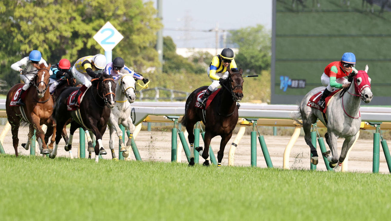 フローラS3着のブライトジュエリー（右から4頭目）。右端は勝ったゴールデンハインド