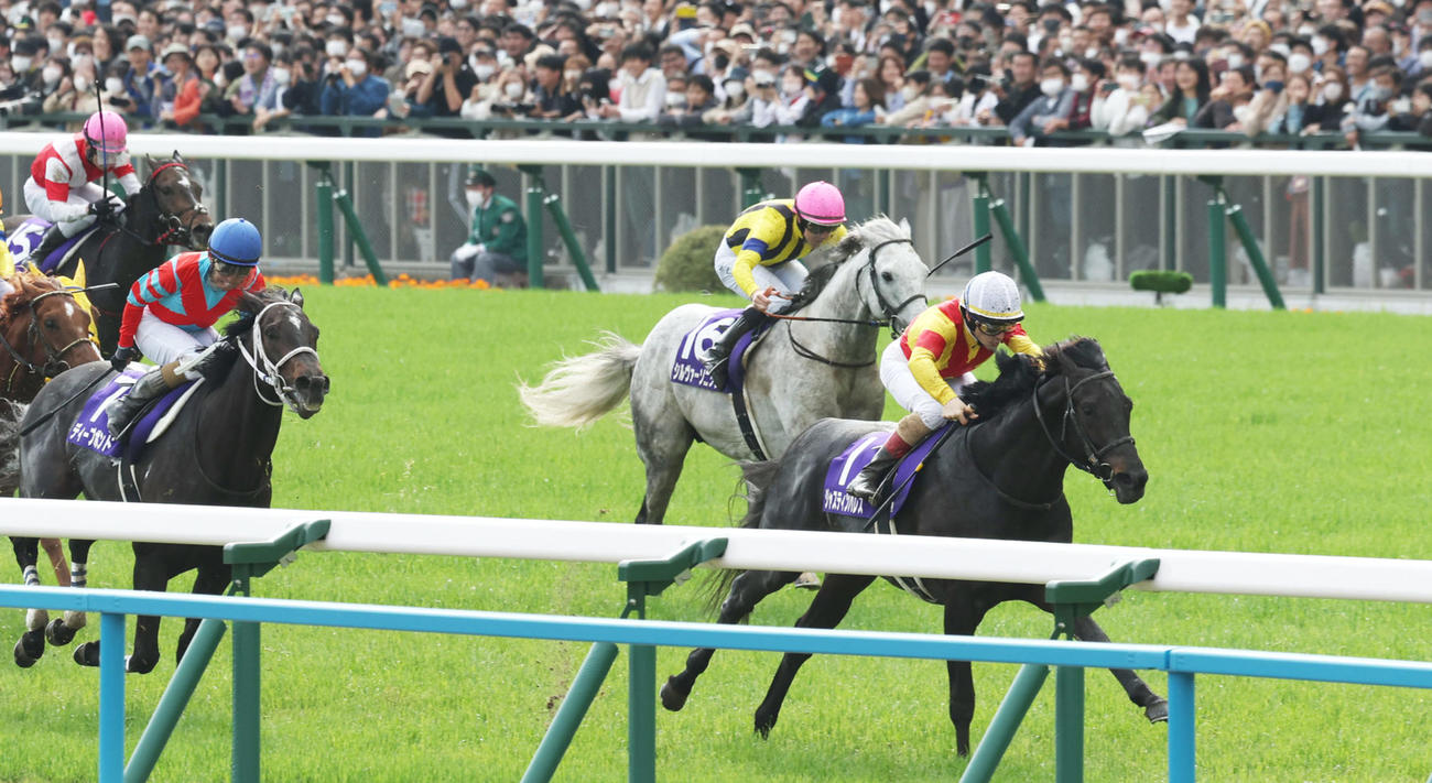 天皇賞・春3着のシルヴァーソニック（右から2頭目）。右は勝ったジャスティンパレス