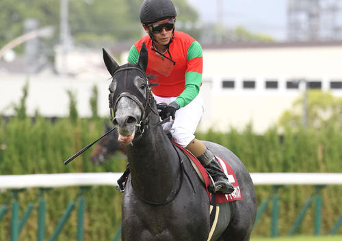 京都新聞杯5着に敗れたマイネルラウレア