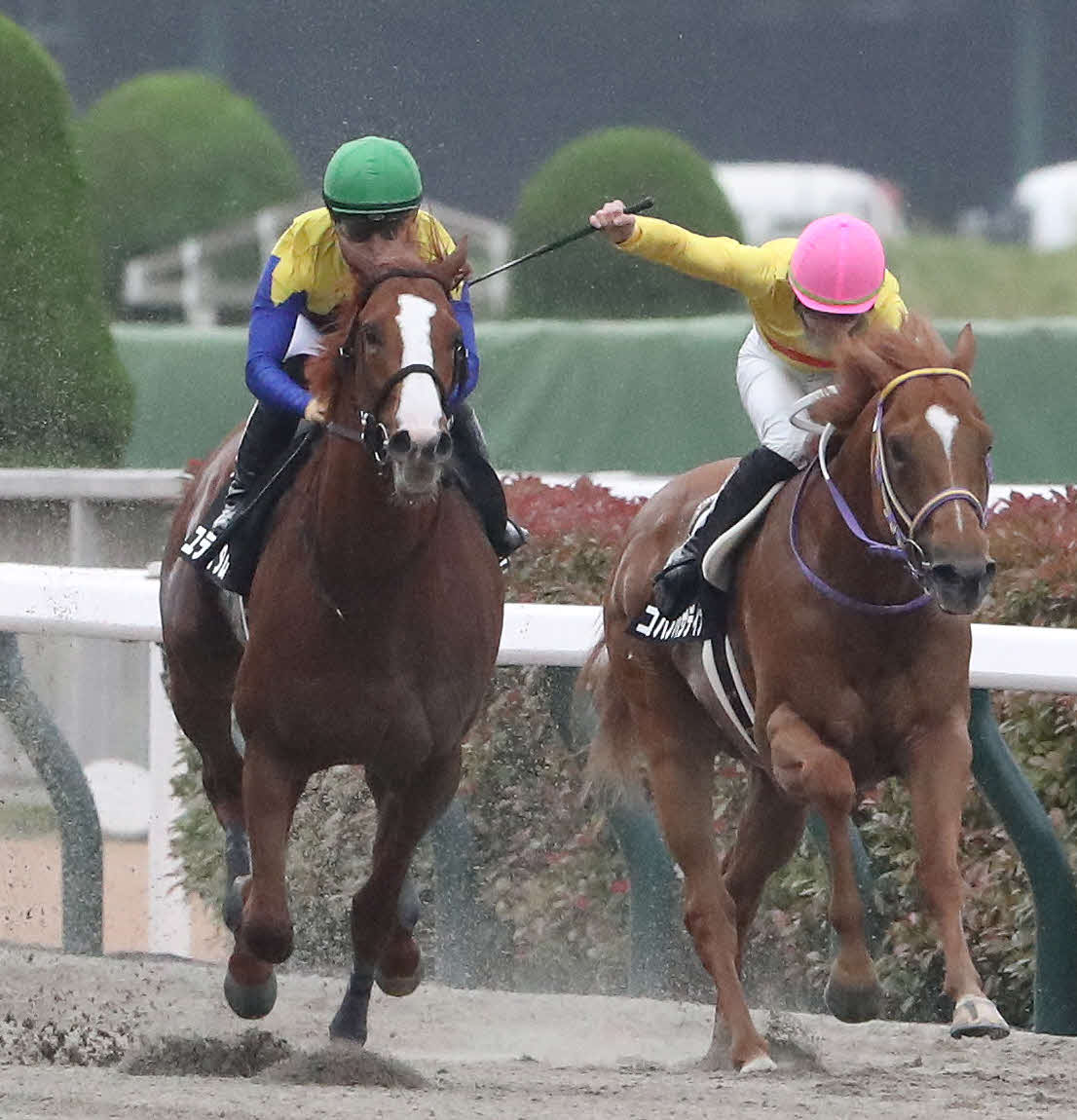 青竜Sを制したユティタムと川田騎手（左）（撮影・丹羽敏通）
