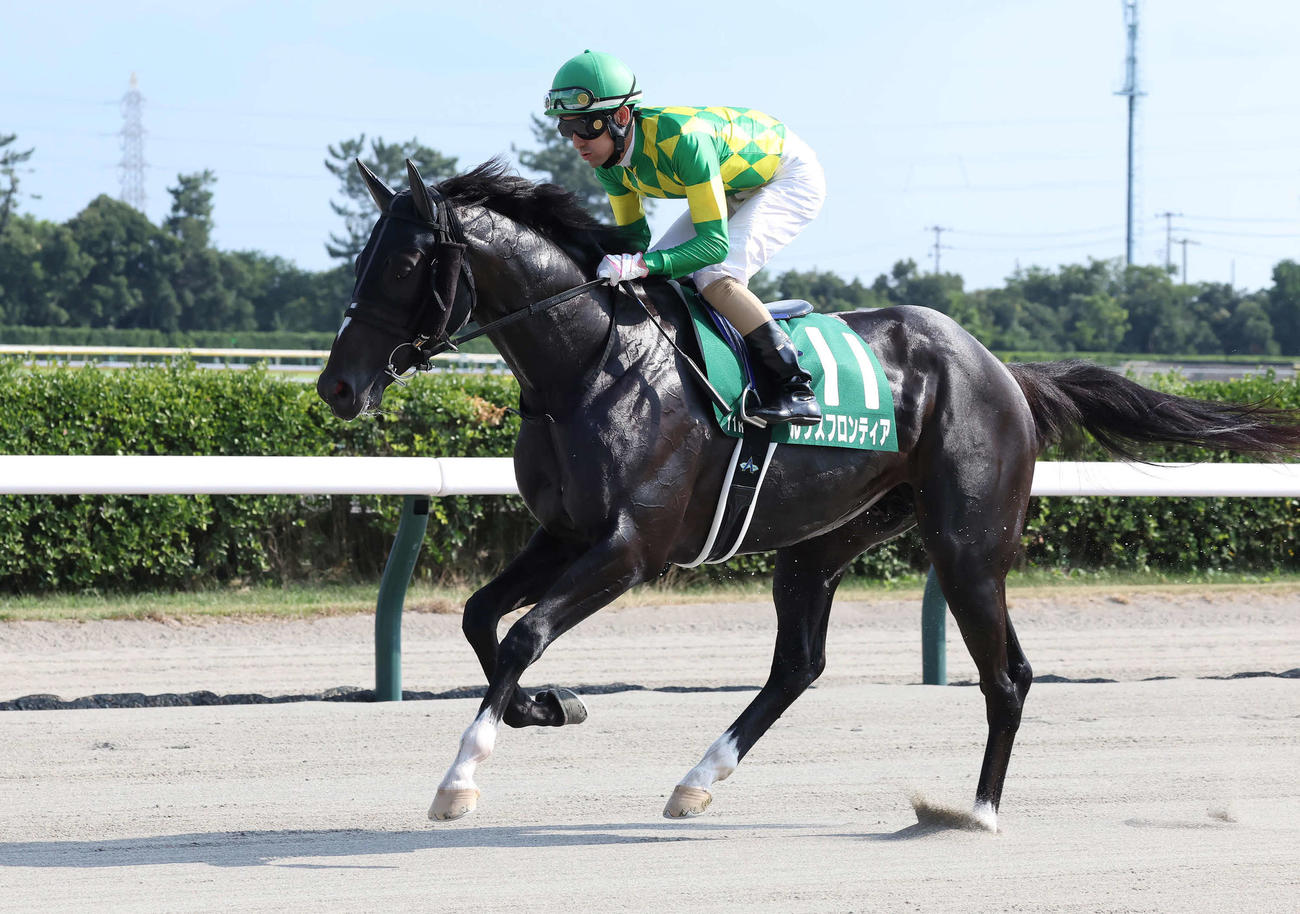 レパードSに出走したルクスフロンティアと秋山真騎手（撮影・丹羽敏通）