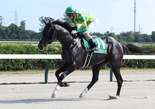 レパードSに出走したルクスフロンティアと秋山真騎手（撮影・丹羽敏通）