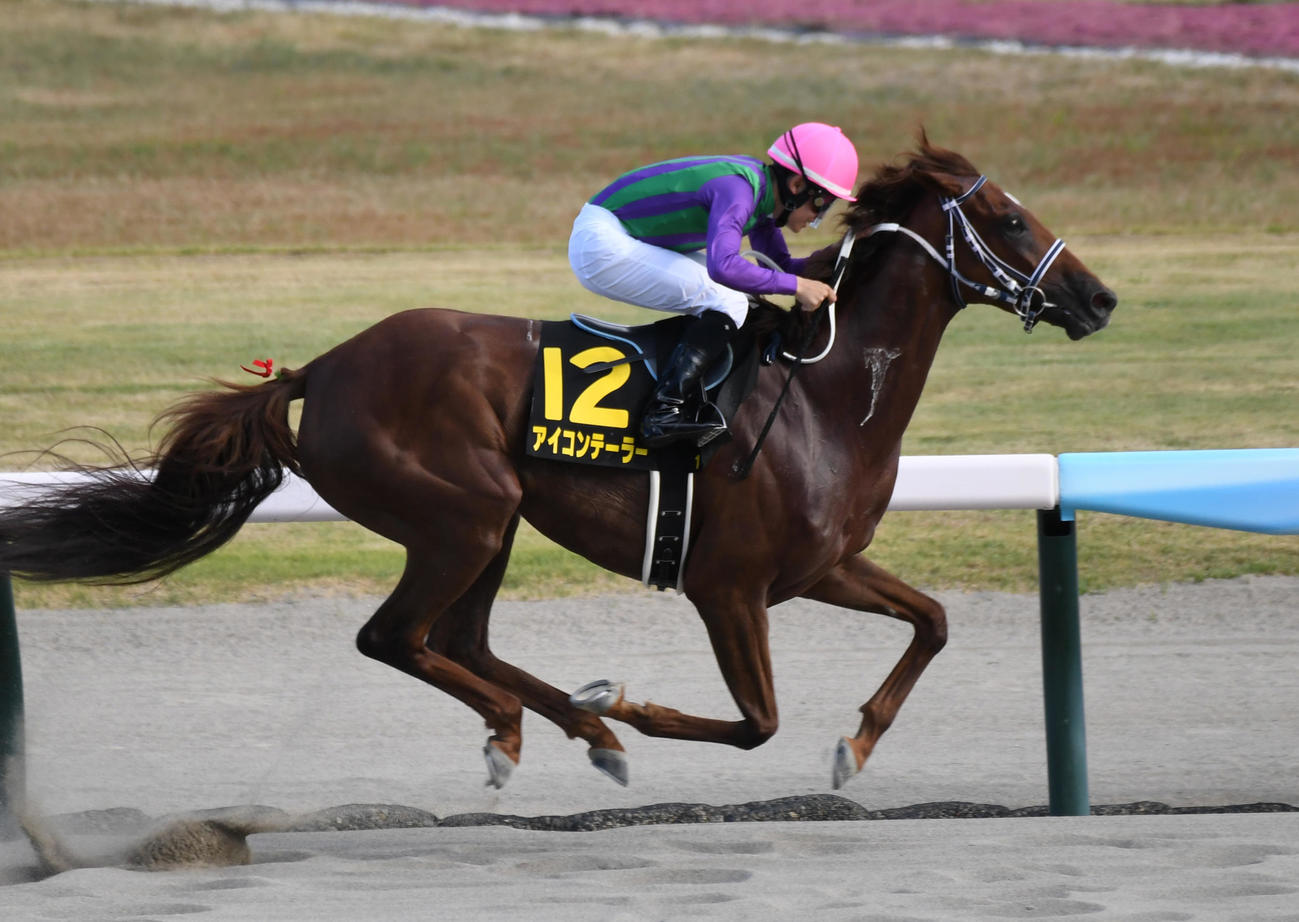 BSN賞を制したアイコンテーラーと菱田騎手（撮影・柴田隆二）