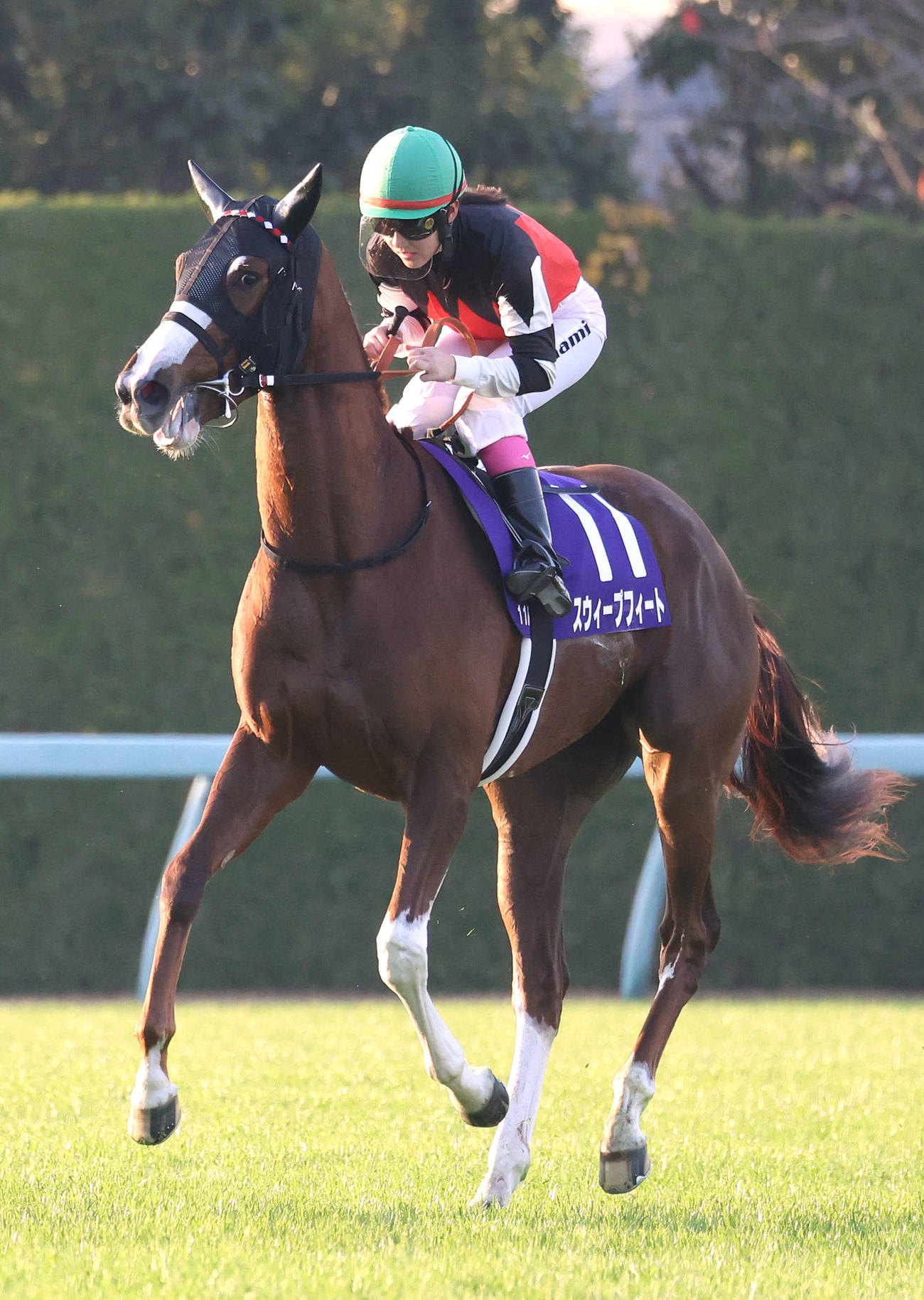 7着に終わった永島騎手騎乗のスウィープフィート（撮影・白石智彦）