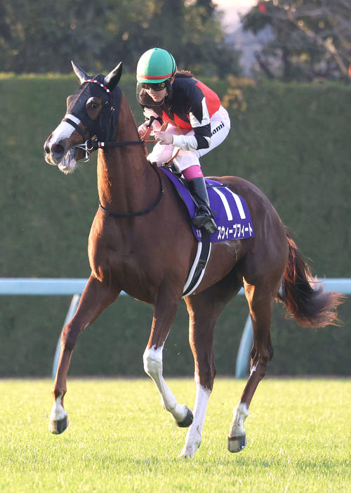 7着に終わった永島騎手騎乗のスウィープフィート（撮影・白石智彦）