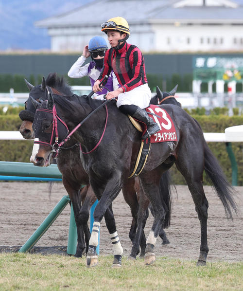東海S、4着に敗れたブライアンセンス（撮影・白石智彦）